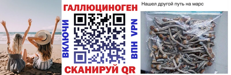 купить наркотик  Кашира  Галлюциногенные грибы ЛСД 